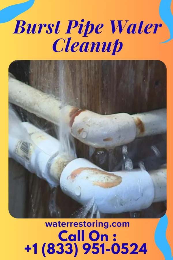 Burst Pipe Water Cleanup in Lewisville, OH