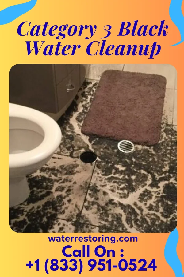 Category 3 Black Water Cleanup in Lewisville, OH