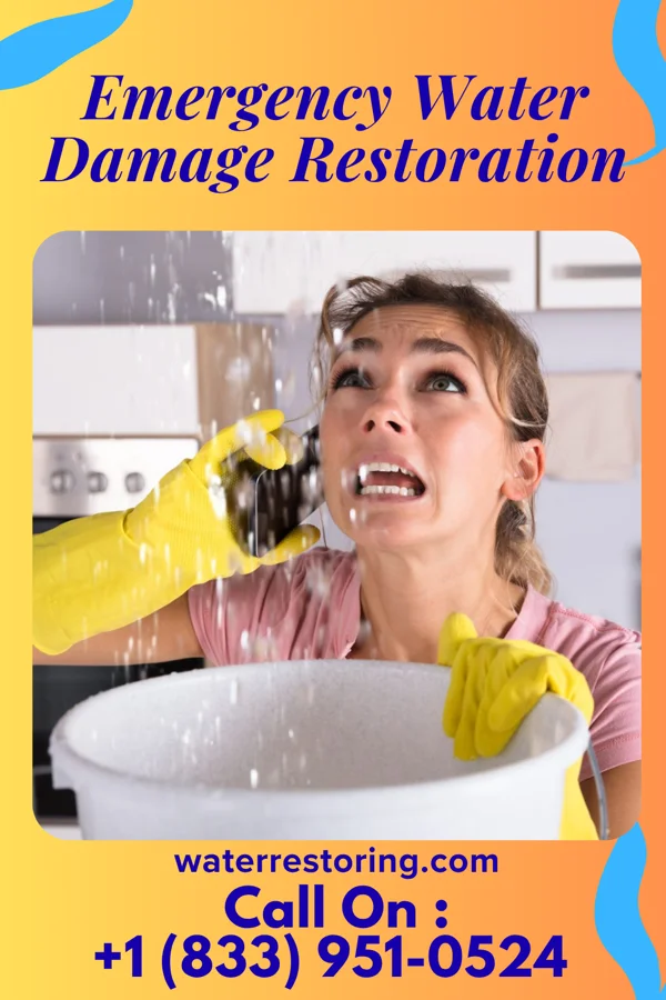Emergency Water Damage Restoration in Lewisville, OH