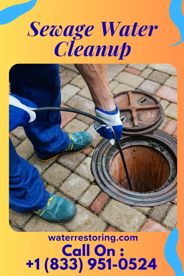 Sewage Water Cleanup in Lewisville, OH